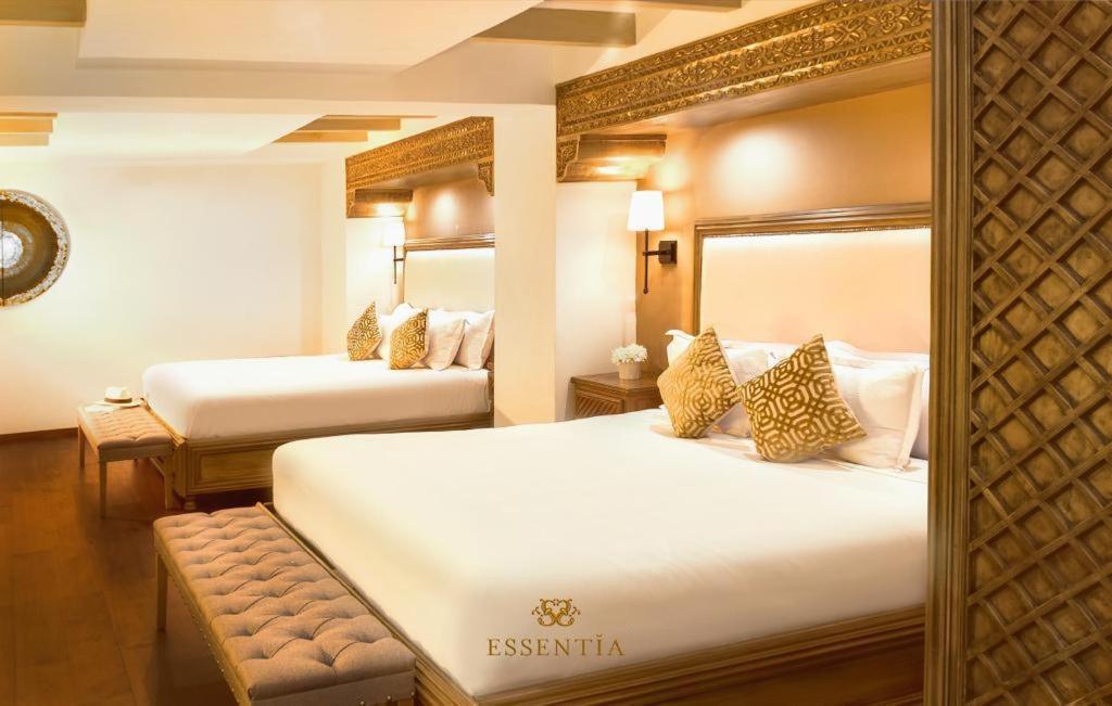 The Essentia Hotel San Miguel San Miguel de Allende Eksteriør bilde