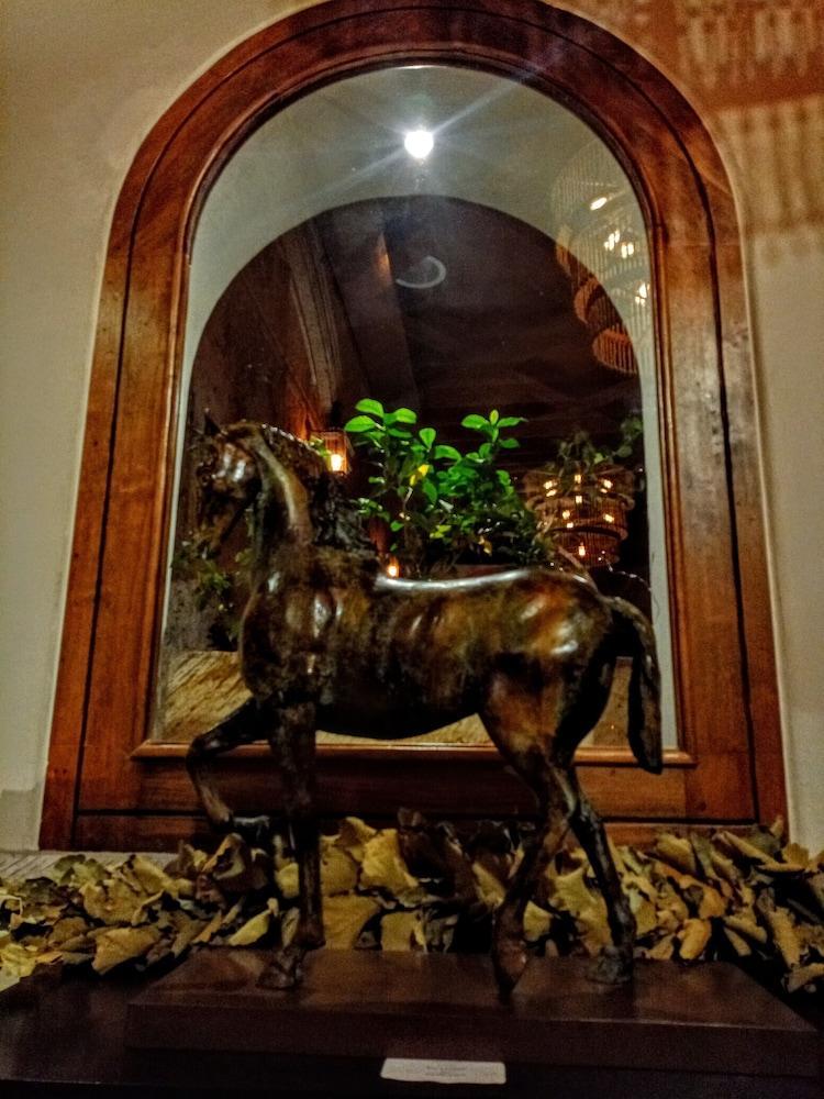 The Essentia Hotel San Miguel San Miguel de Allende Eksteriør bilde