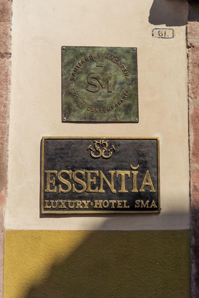 The Essentia Hotel San Miguel San Miguel de Allende Eksteriør bilde